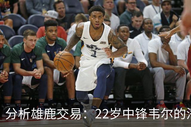 分析雄鹿交易：22岁中锋韦尔的潜力与价值